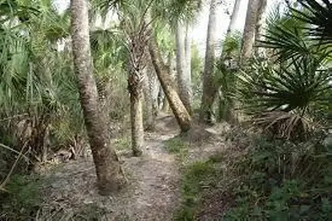 11447 Sw Lake Park Drive Port Saint Lucie FL 34987