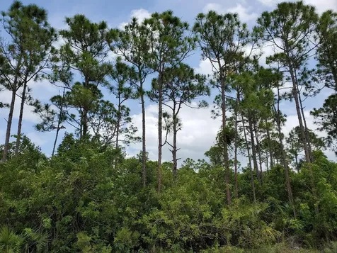 Tbd Southwind Trail Fort Pierce FL 34951