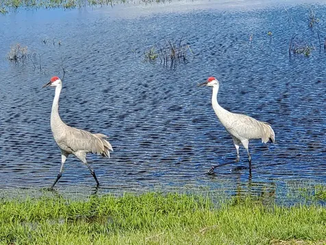 Tbd Southwind Trail Fort Pierce FL 34951