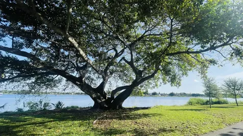 2102 Lake Osborne Drive Lake Worth Beach FL 33461