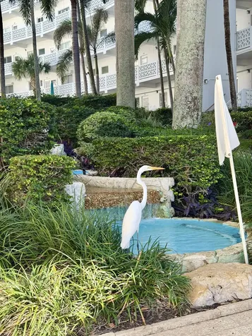 2850 S Ocean Boulevard Palm Beach FL 33480