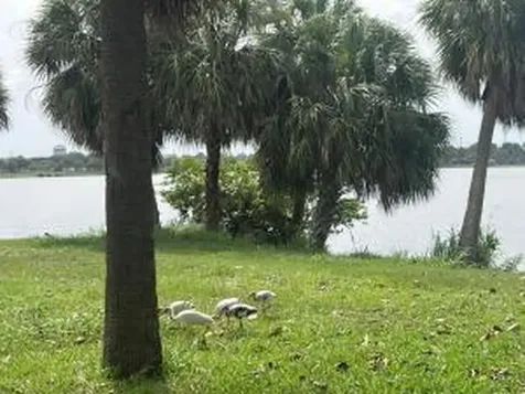 2020 Lake Osborne Drive Lake Worth Beach FL 33461