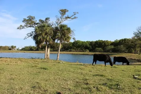 2410 S Brocksmith Road Fort Pierce FL 34945