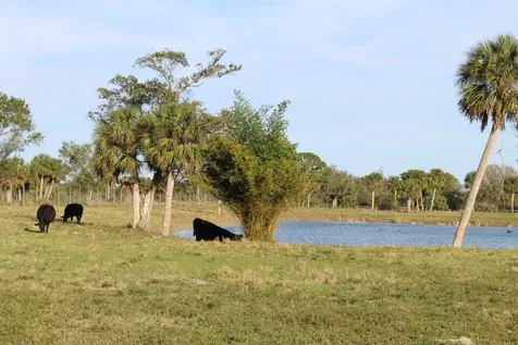 2410 S Brocksmith Road Fort Pierce FL 34945