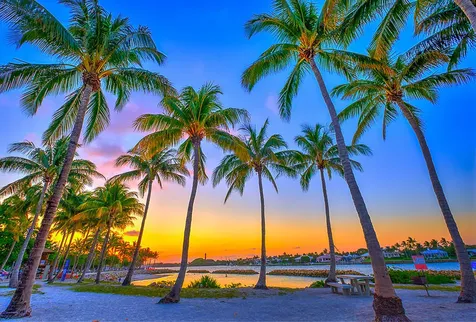 18011 N Highway A1a Jupiter FL 33477