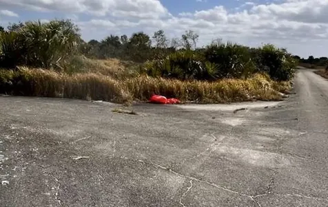 1636 Barrel Court Palm Bay FL 32908