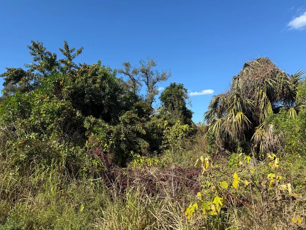 1810 38th Place Vero Beach FL 32960