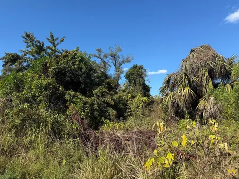1810 38th Place Vero Beach FL 32960