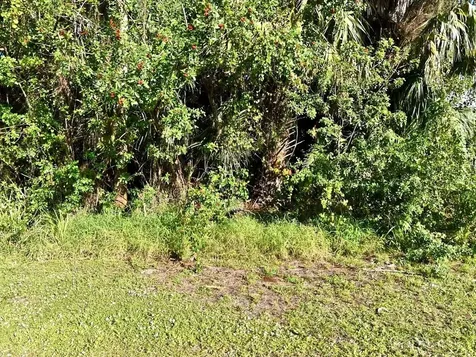 Xxx N 45th Street Fort Pierce FL 34946