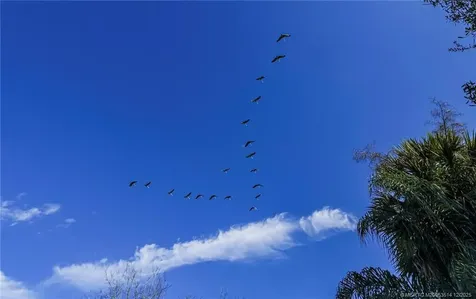 6235 Us Highway 98 Okeechobee FL 34972