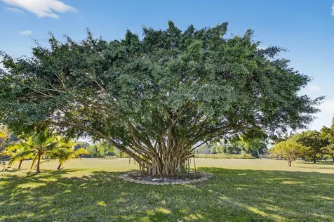 10236 La Reina Road Delray Beach FL 33446