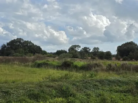 1132 NE 48th Avenue Okeechobee FL 34972