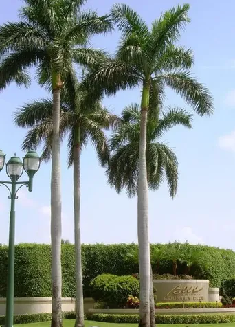 17061 Emile Street Boca Raton FL 33487