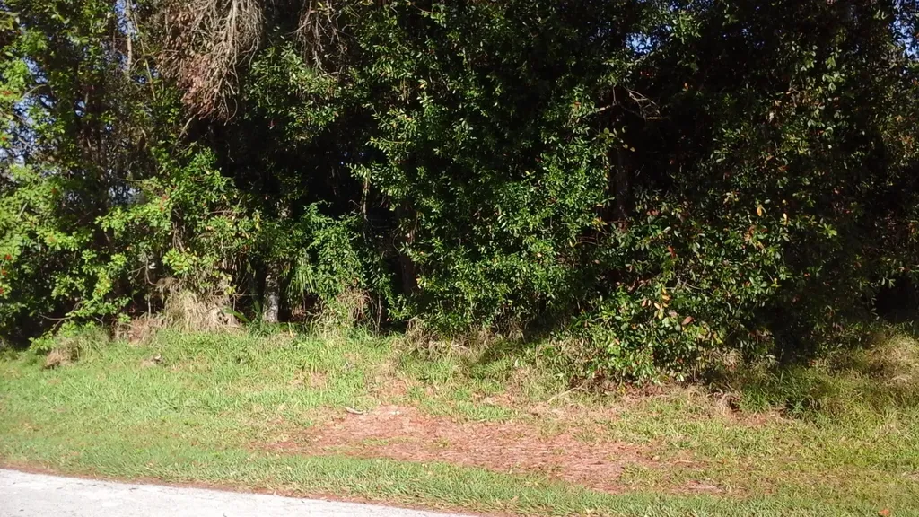 737 Benedictine Terrace Sebastian FL 32958