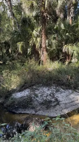 3453 NW 160th Street Okeechobee FL 34972