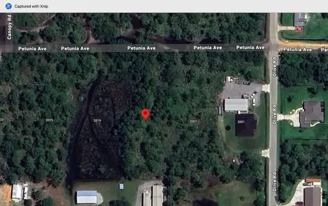 2013 Petunia Avenue Sebring FL 33875