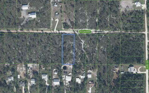 2013 Petunia Avenue Sebring FL 33875