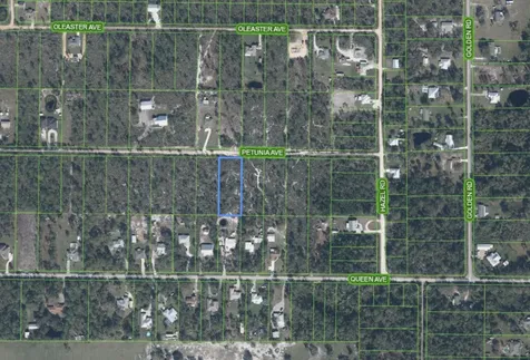 2013 Petunia Avenue Sebring FL 33875