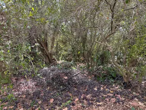 3358 S Jog Road Greenacres FL 33467