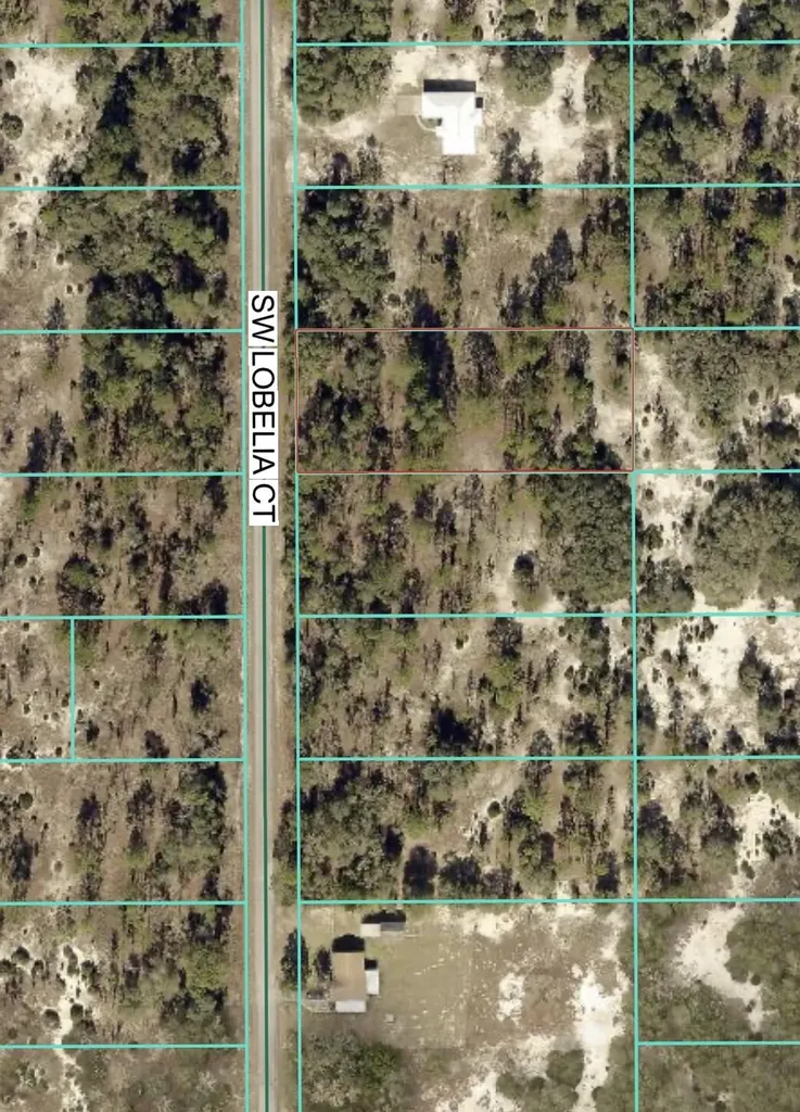 Tbd Lot 32 SW Lobelia Court Dunnellon FL 34431