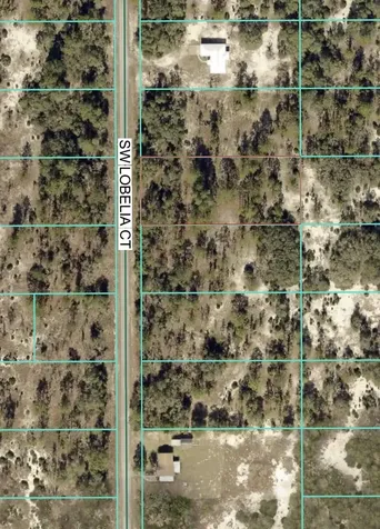 Tbd Lot 32 SW Lobelia Court Dunnellon FL 34431