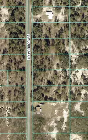 Tbd Lot 32 SW Lobelia Court Dunnellon FL 34431