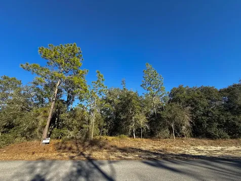 Tbd Lot 32 SW Lobelia Court Dunnellon FL 34431