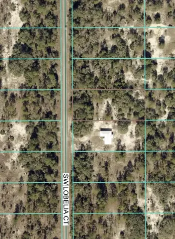 Tbd Lot 35 SW Lobelia Court Dunnellon FL 34431