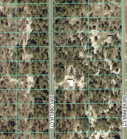 Tbd Lot 35 SW Lobelia Court Dunnellon FL 34431