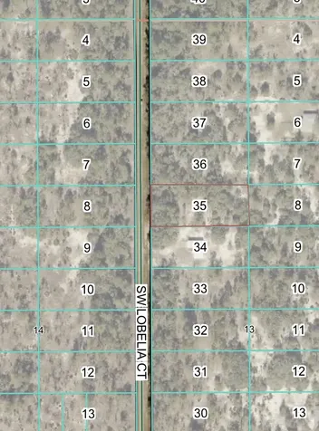 Tbd Lot 35 SW Lobelia Court Dunnellon FL 34431
