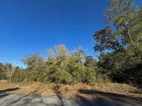 Tbd Lot 35 SW Lobelia Court Dunnellon FL 34431