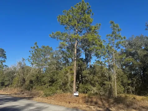 Tbd Lot 35 SW Lobelia Court Dunnellon FL 34431
