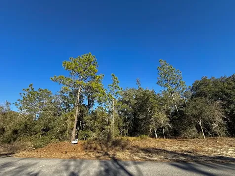 Tbd Lot 35 SW Lobelia Court Dunnellon FL 34431