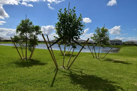 5773 Aleppo Pine Place Westlake FL 33470