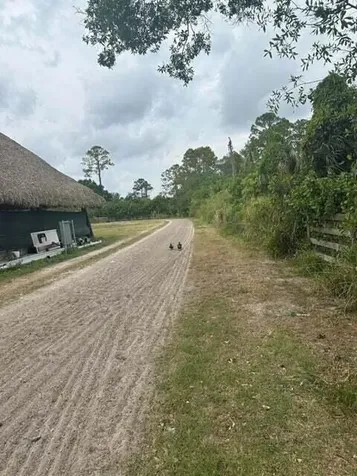3525 D Road Road Loxahatchee Groves FL 33470