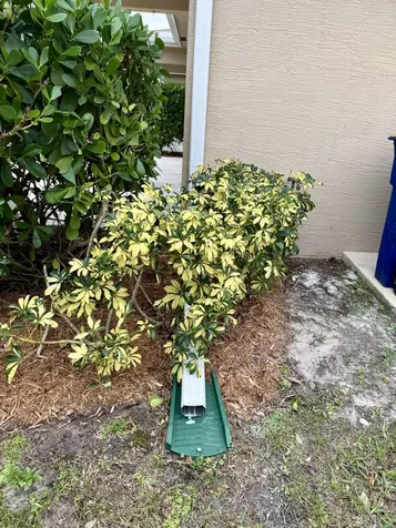 3531 S 7th S Street Fort Pierce FL 34982