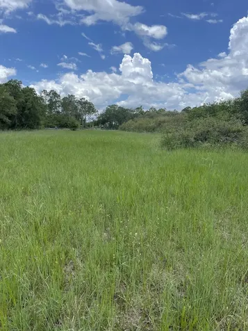 13822 Hamlin Avenue Clewiston FL 33440