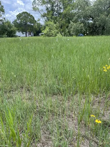 13822 Hamlin Avenue Clewiston FL 33440