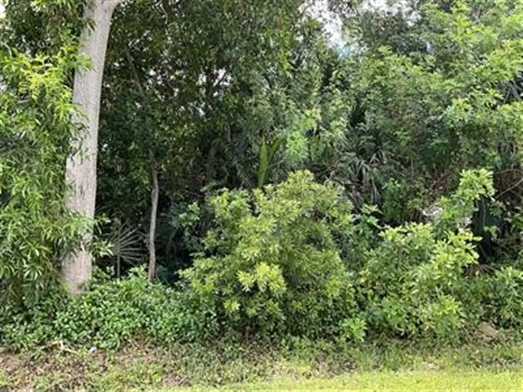 1858 SE North Buttonwood Drive Port Saint Lucie FL 34952
