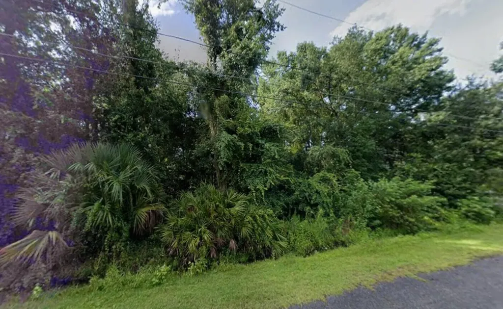 242 Toms Road Debary FL 32713