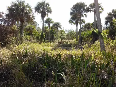 10609 S Indian River S Drive Fort Pierce FL 34982