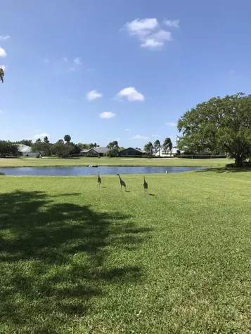 6820 Se Constitution Boulevard Hobe Sound FL 33455