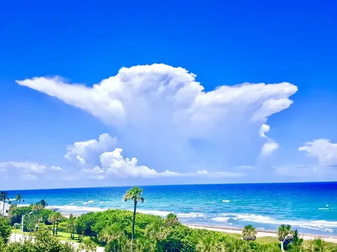 4201 N Ocean Boulevard Boca Raton FL 33431