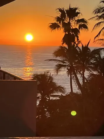 1147 Hillsboro Mile Hillsboro Beach FL 33062
