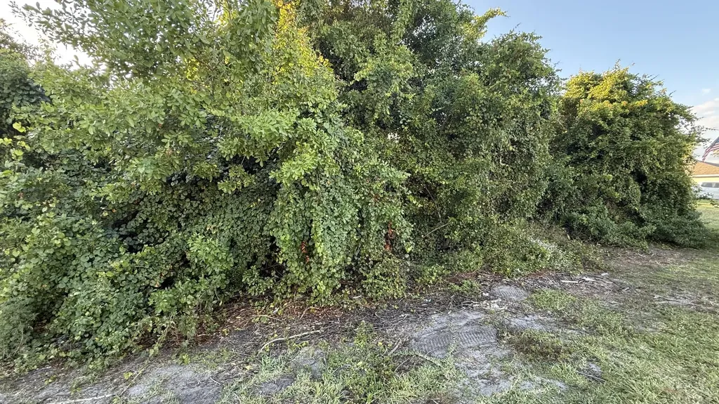 4462 SW Gainsboro Street Port Saint Lucie FL 34953