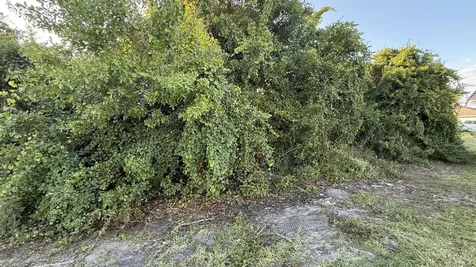 4462 SW Gainsboro Street Port Saint Lucie FL 34953