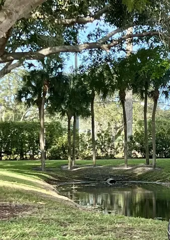 150 Burgundy D Delray Beach FL 33484