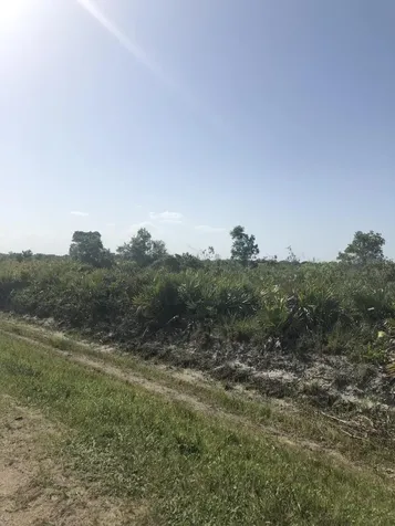 19775 NW 242nd Street Okeechobee FL 34972