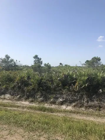 19775 NW 242nd Street Okeechobee FL 34972