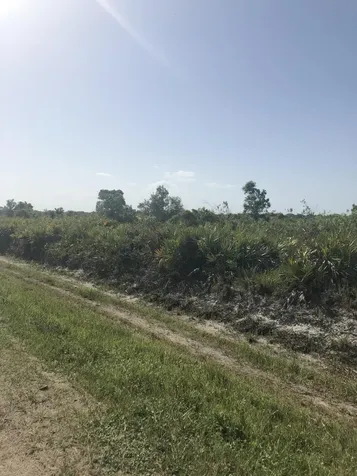 19775 NW 242nd Street Okeechobee FL 34972